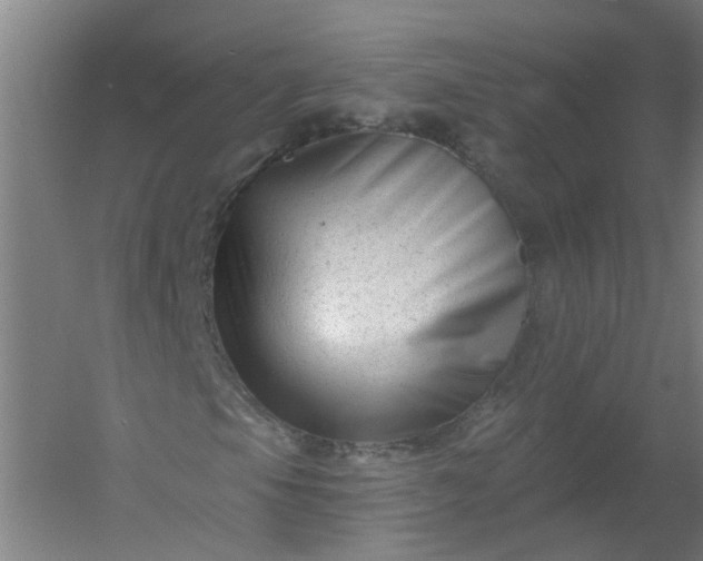 X0000054381105200508121559