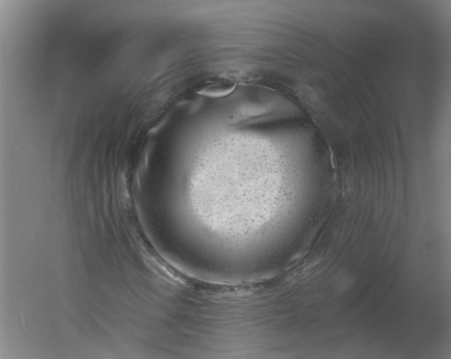 X0000054381106200508121559