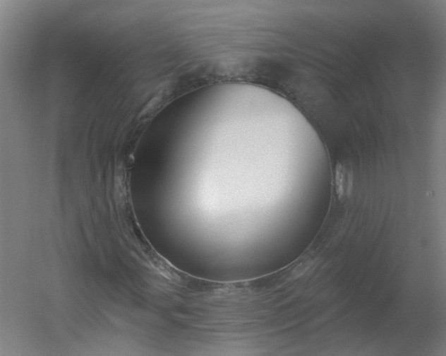 X0000054381107200508121559