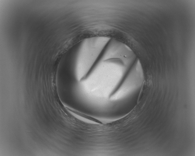 X0000054381108200508121559