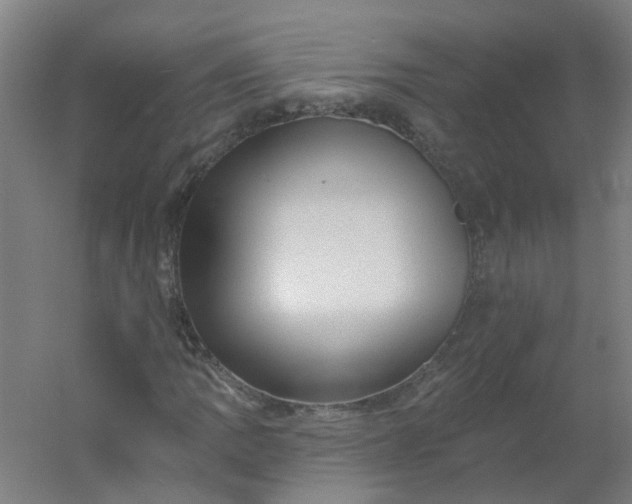 X0000054381109200508121559