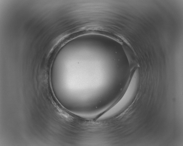 X0000054381115200508121559