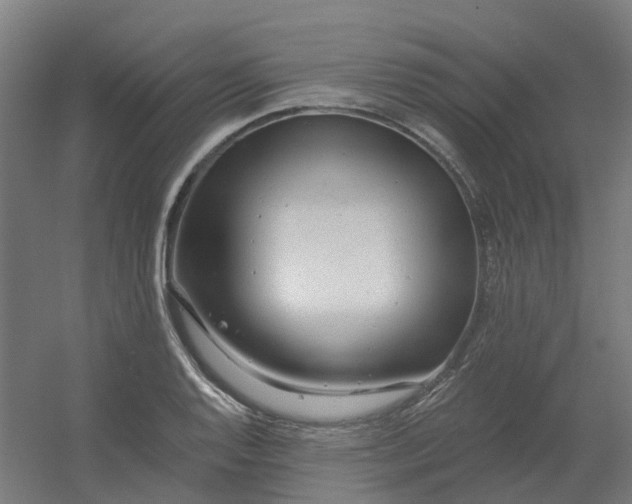 X0000054381128200508121559