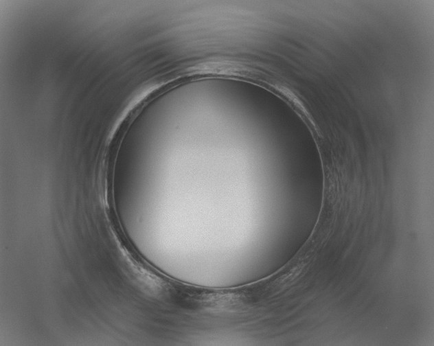 X0000054381131200508121559