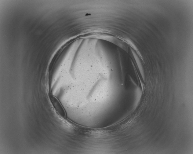 X0000054381132200508121559
