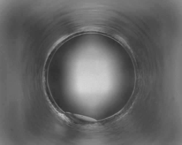 X0000054381133200508121559
