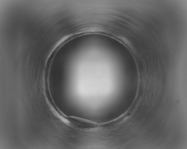 X0000054381134200508121559