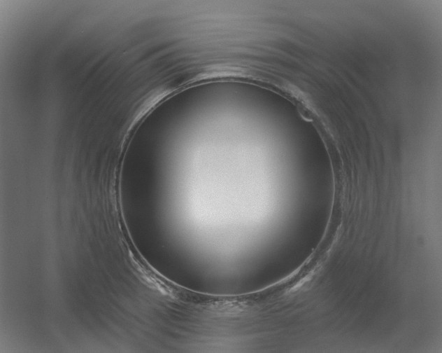 X0000054381137200508121559
