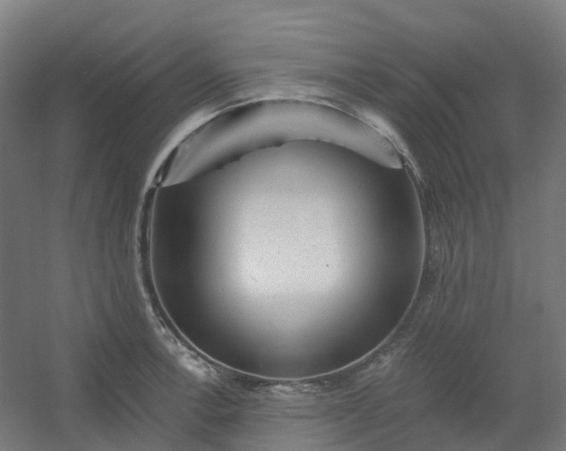 X0000054381138200508121559