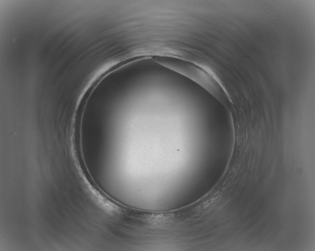 X0000054381139200508121559
