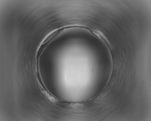 X0000054381140200508121559