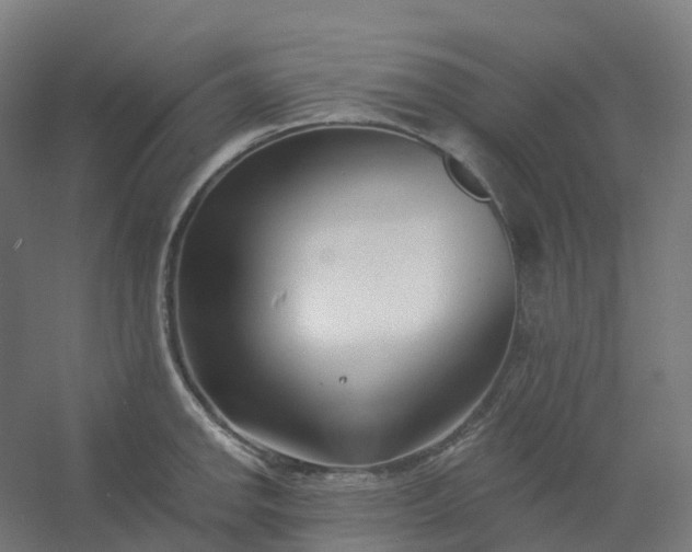 X0000054381142200508121559