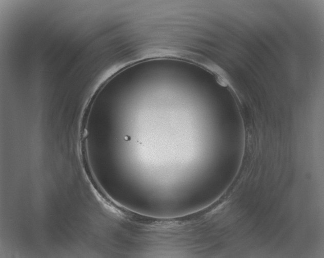 X0000054381143200508121600