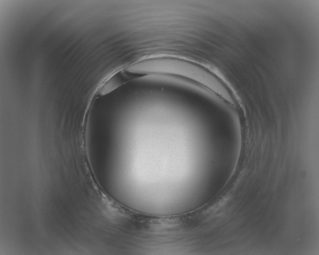 X0000054381145200508121600