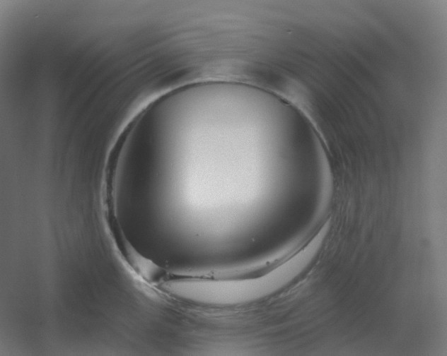 X0000054381147200508121600