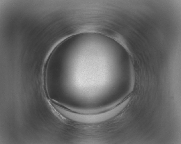 X0000054381148200508121600
