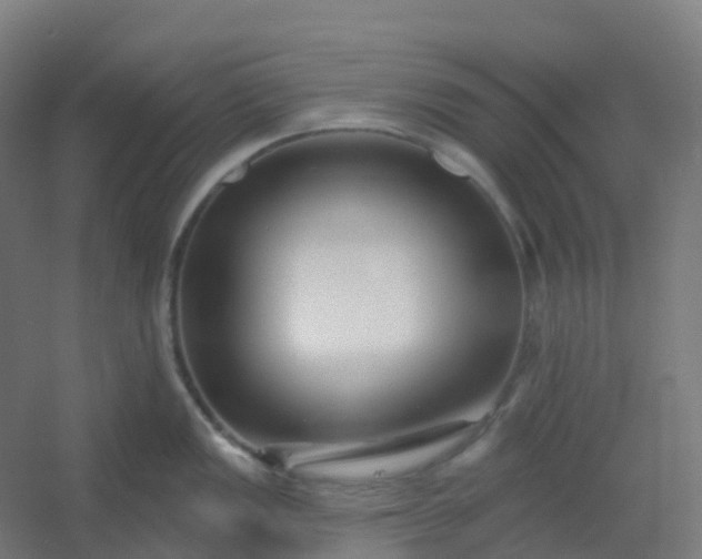 X0000054381149200508121600