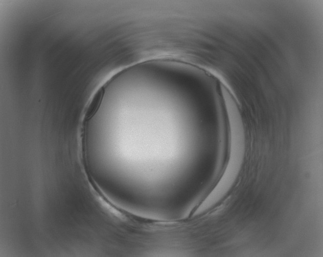 X0000054381151200508121600