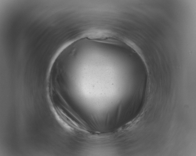 X0000054381152200508121600