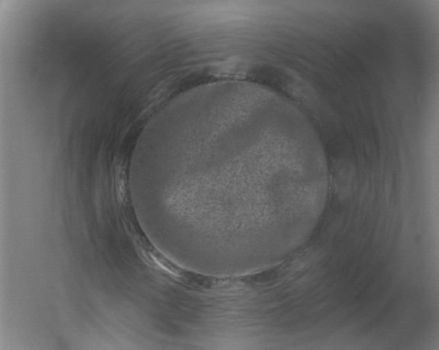 X0000054381154200508121559