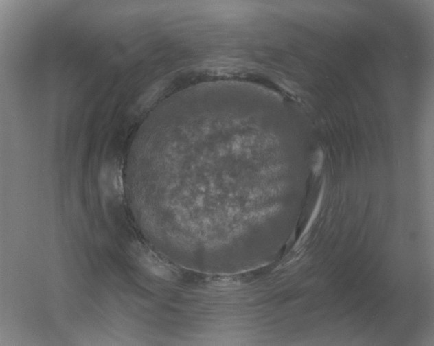 X0000054381155200508121559
