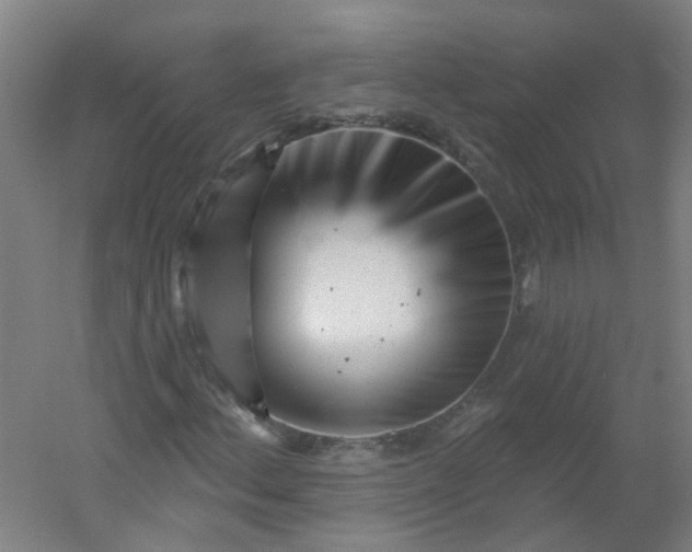 X0000054381156200508121559