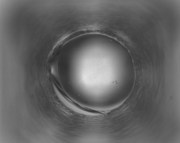X0000054381160200508121559