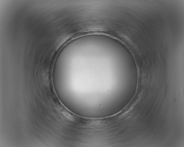X0000054381162200508121559