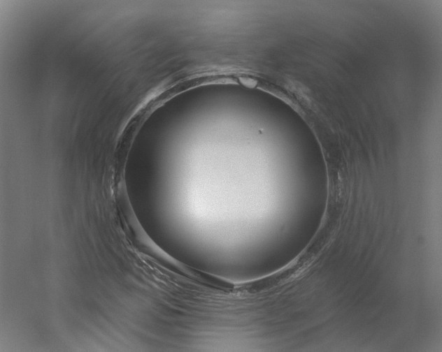 X0000054381165200508121559