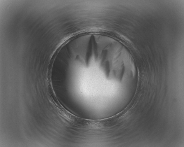 X0000054381170200508121559