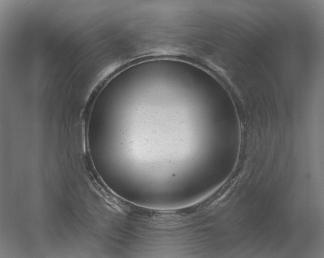 X0000054381171200508121559