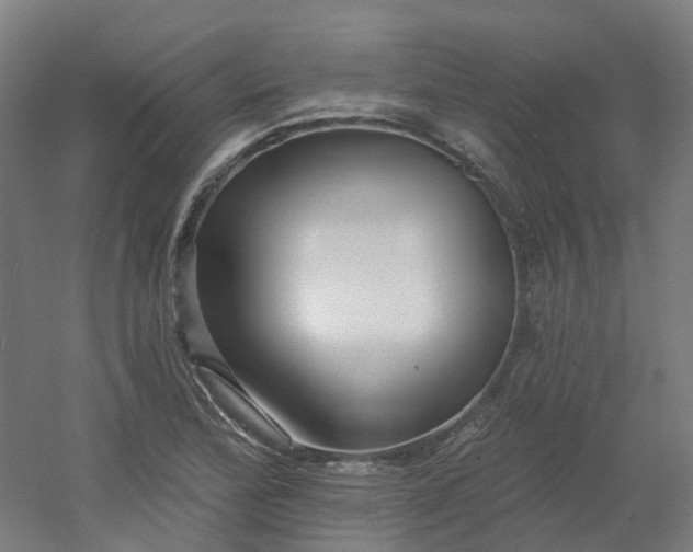 X0000054381172200508121559