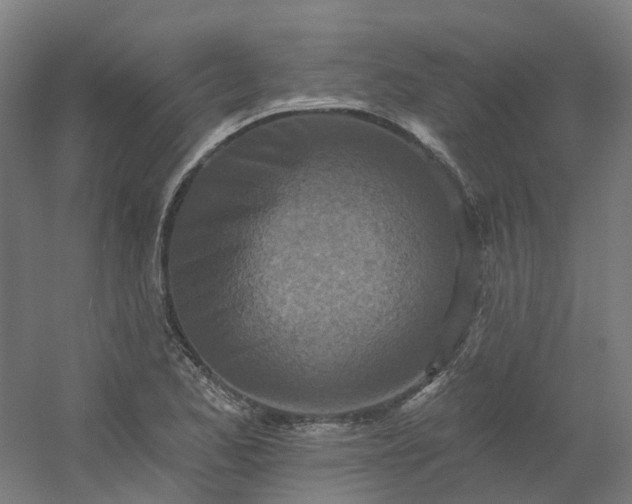 X0000054381173200508121559