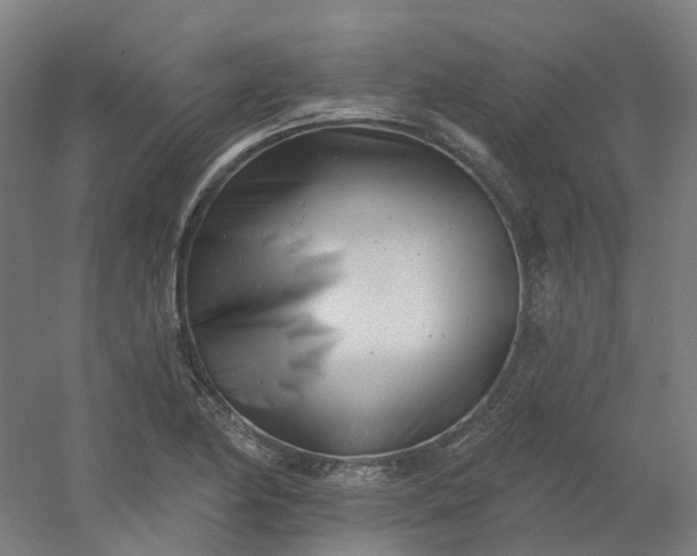 X0000054381174200508121558