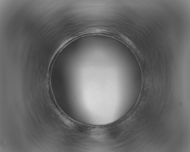 X0000054381178200508121558