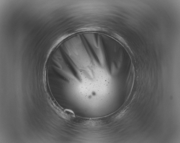 X0000054381179200508121558