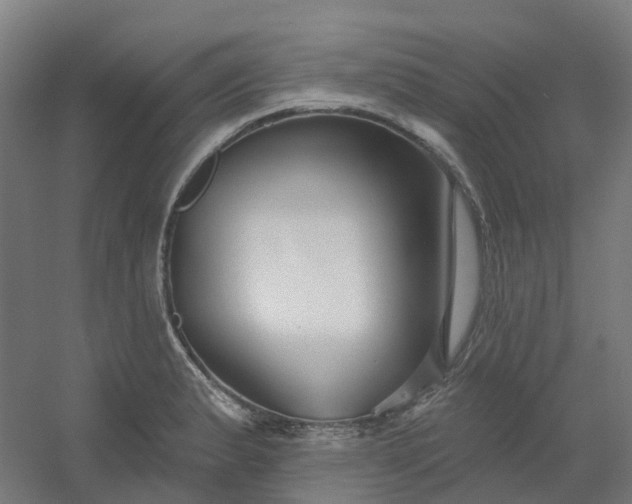 X0000054381183200508121558