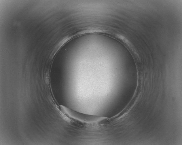 X0000054381185200508121558
