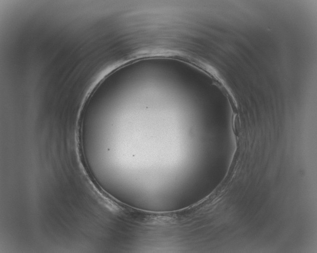 X0000054381187200508121558