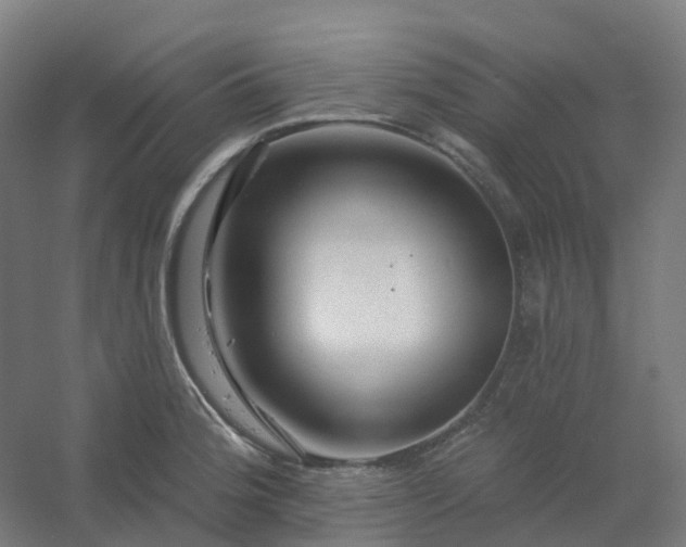 X0000054381188200508121558