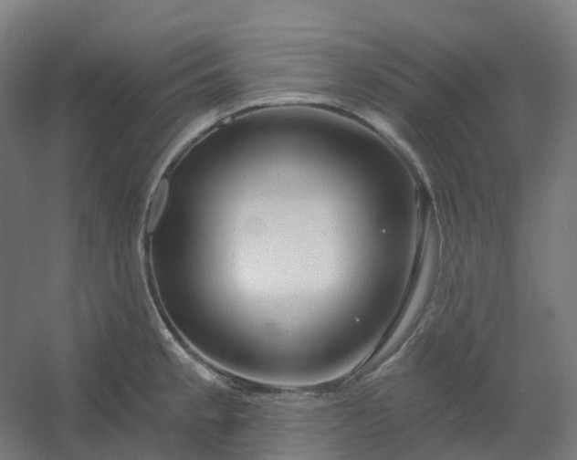 X0000054381189200508121558