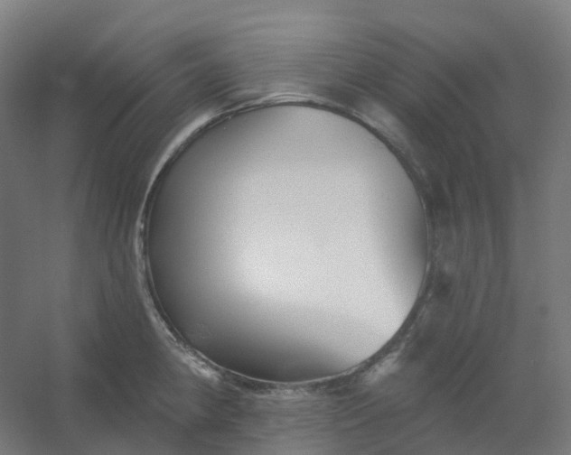 X0000054381190200508121558