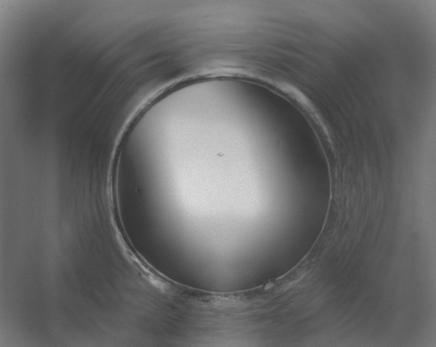 X0000054381191200508121558