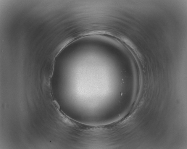 X0000054381193200508121558