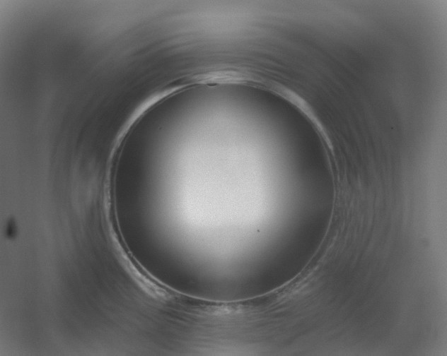 X0000054381195200508121558