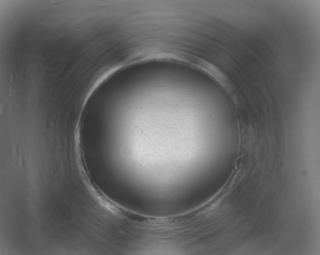 X0000054381198200508121558