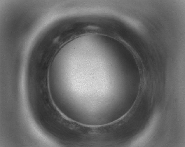 X0000054381199200508121558