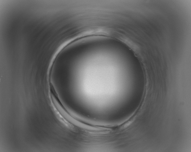 X0000054381200200508121558