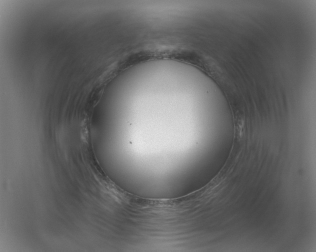 X0000054381204200508121557