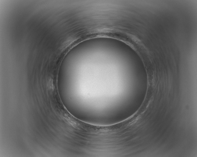X0000054381209200508121557